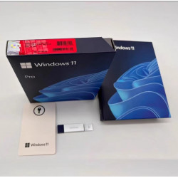 Windows Pro 10 11 USB Software Wholesale Price Starts from $19